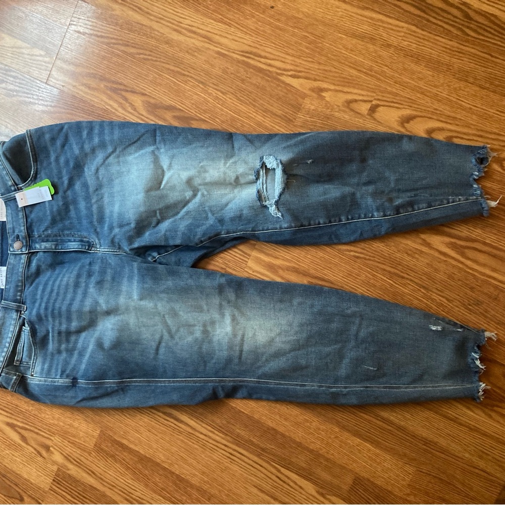 Lane Bryant Distressed Skinny Jeans